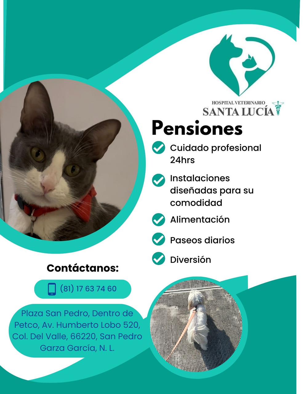 Hospital Veterinario Santa Lucía, San Pedro Garza García