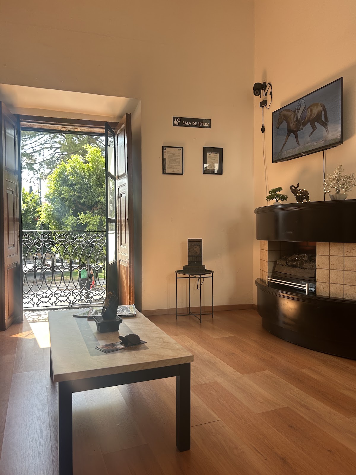 Clínica Dental IntegraSmile, Centro Histórico