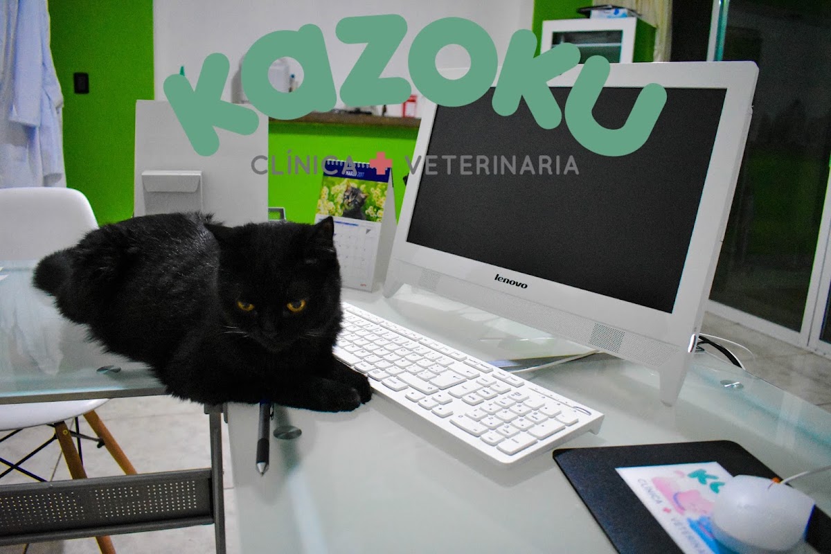 Clinica veterinaria Kazoku, Otras zonas