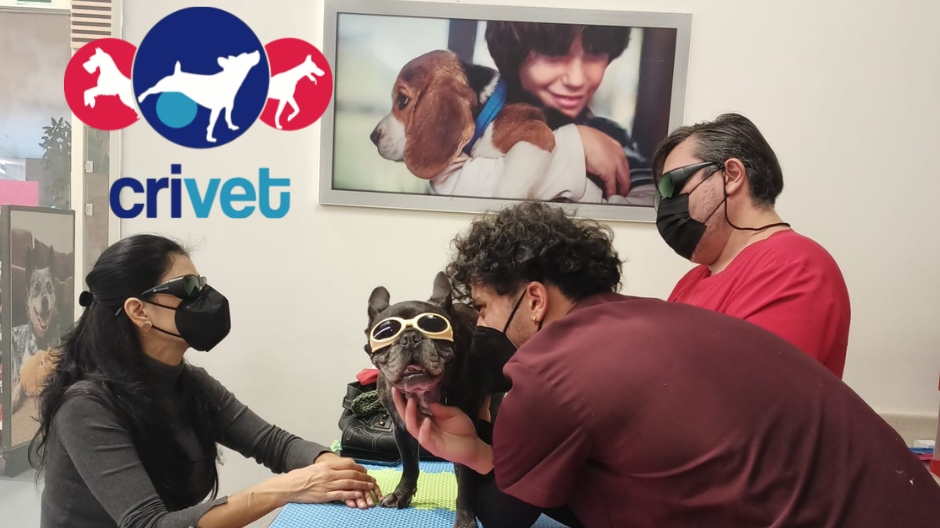 Hospital Veterinario CRIVET Condesa, Condesa