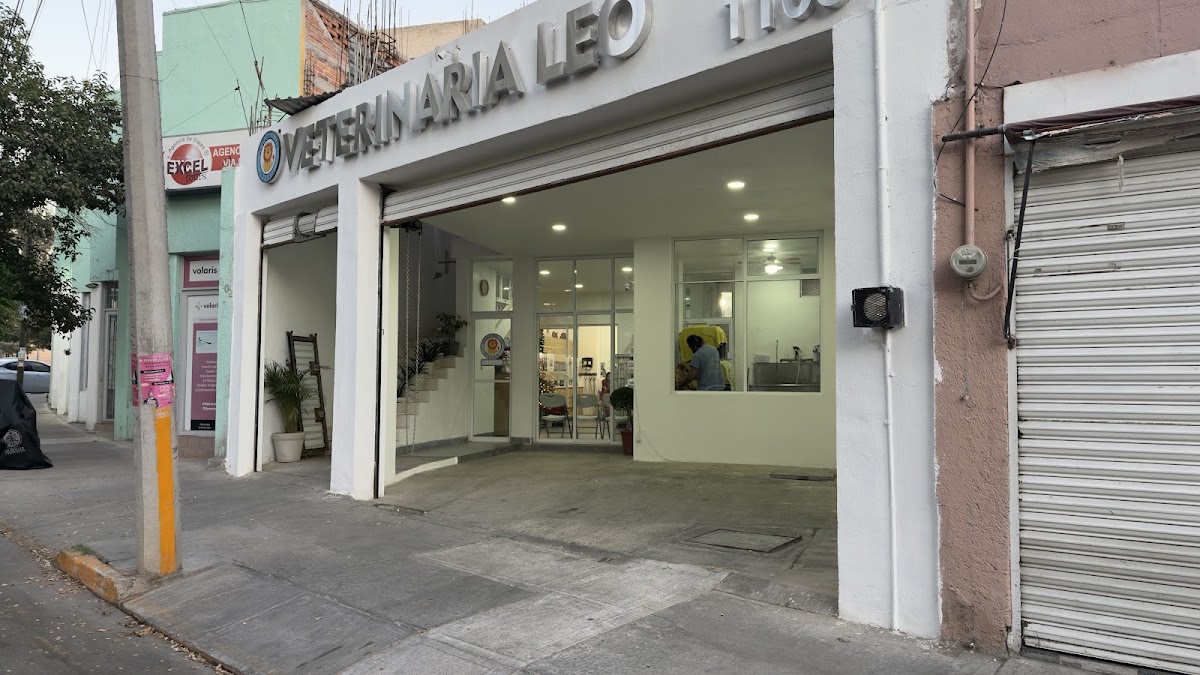 Clínica Veterinaria Leo, Otras zonas