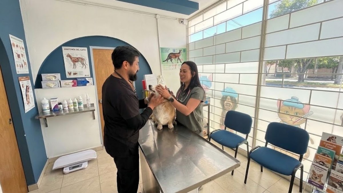 Pet Zoone Centro Veterinario, Otras zonas