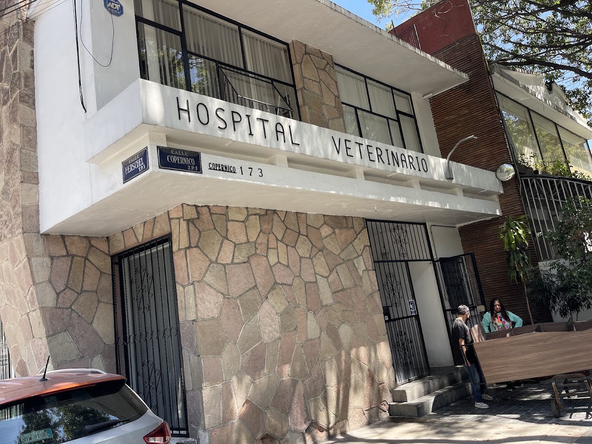 Hospital Veterinario Darwin, Otras zonas