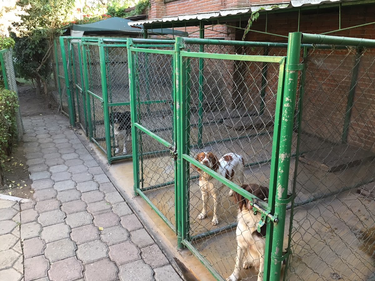 Clínica Veterinaria JHP Cholula, Cholula