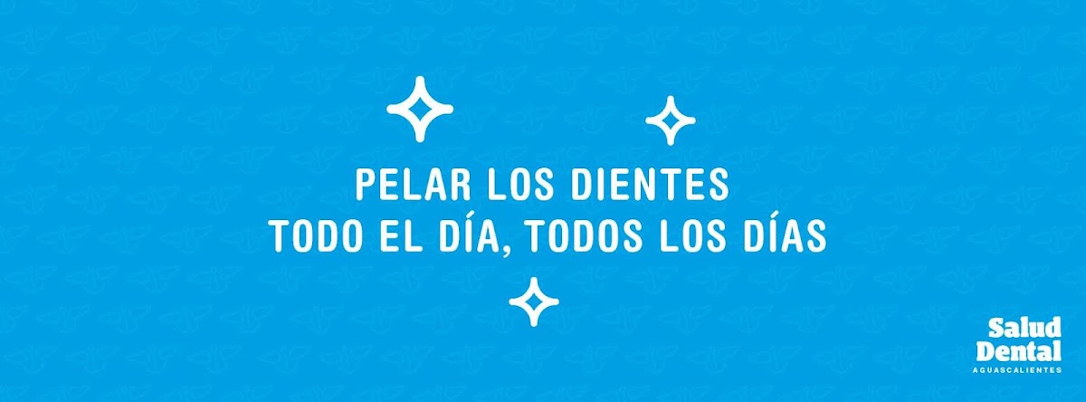 Salud Dental Aguascalientes, Sur