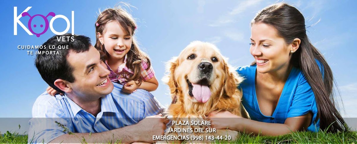 Kolitas Veterinaria Cancun, Otras zonas