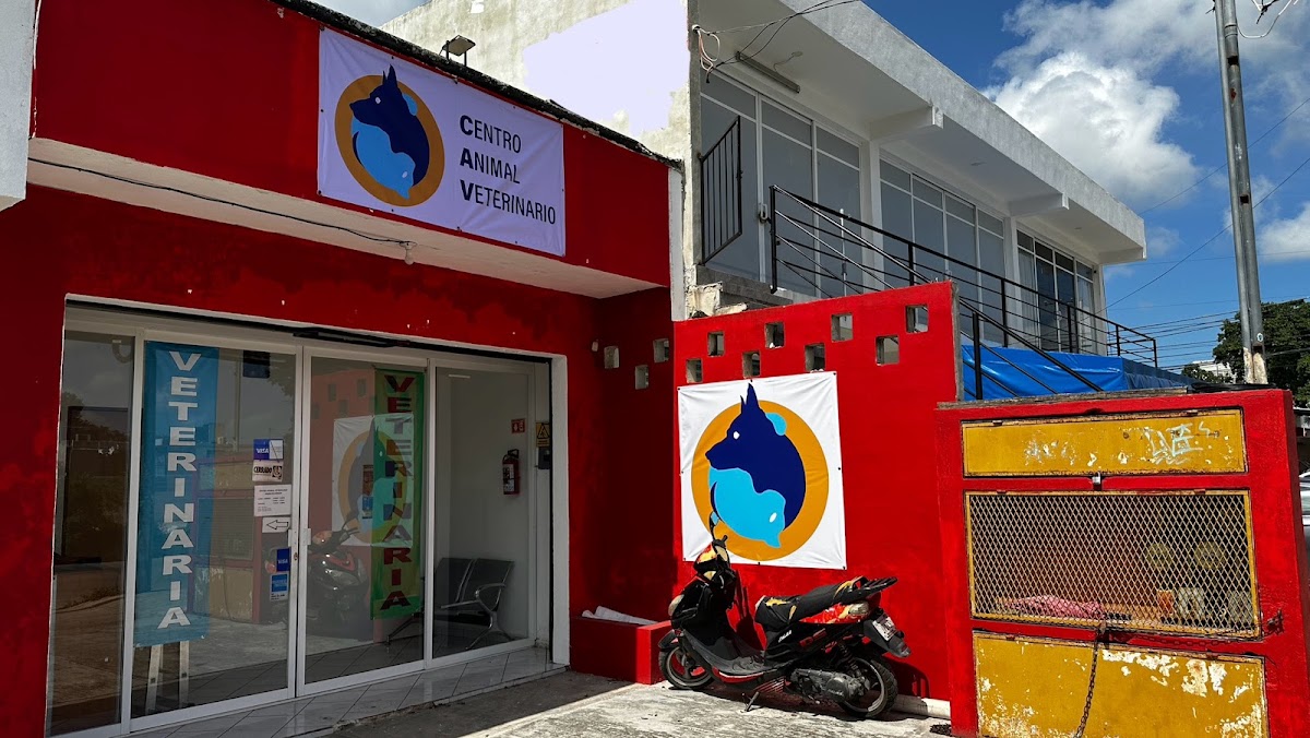 Centro Animal Veterinario, Otras zonas