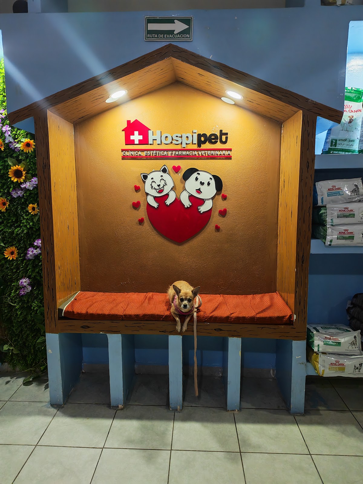 Hospipet, Otras zonas