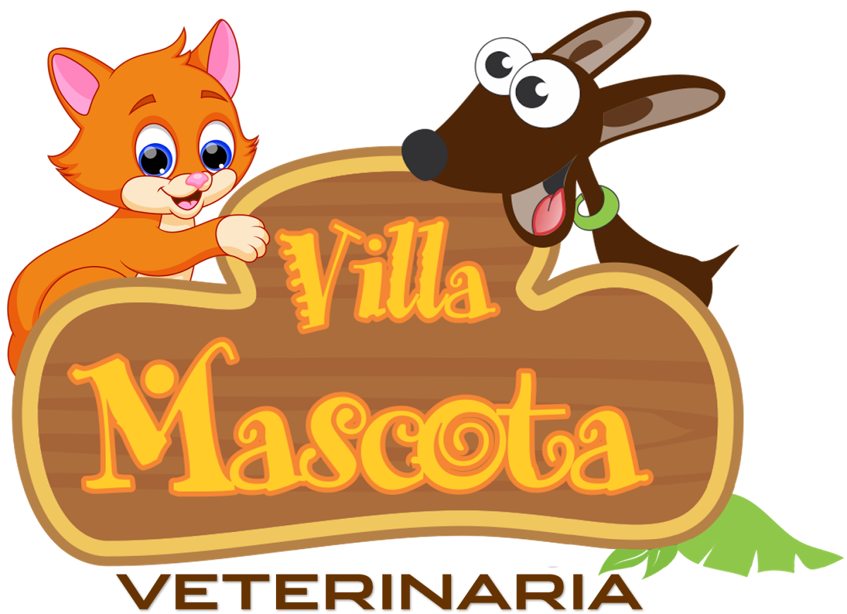Clinica Veterinaria Villa Mascota, Otras zonas