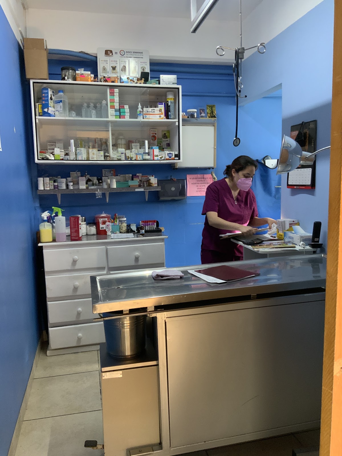 Hospital Veterinario Hospetall 24 Hrs, Otras zonas