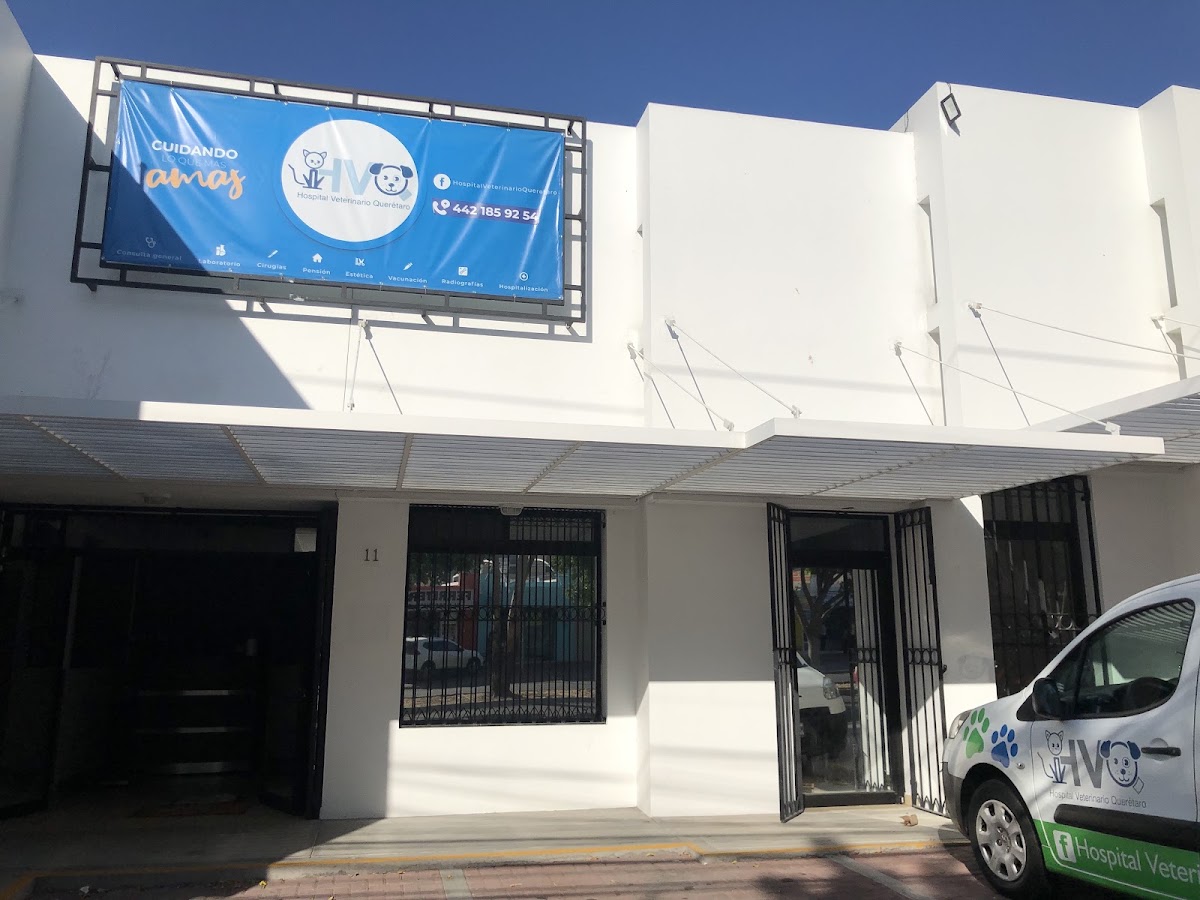 Hospital Veterinario Querétaro, Centro Histórico