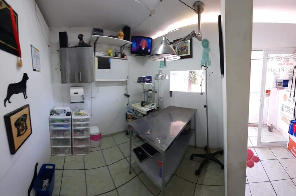 Cats & Dogs veterinaria spa, Otras zonas