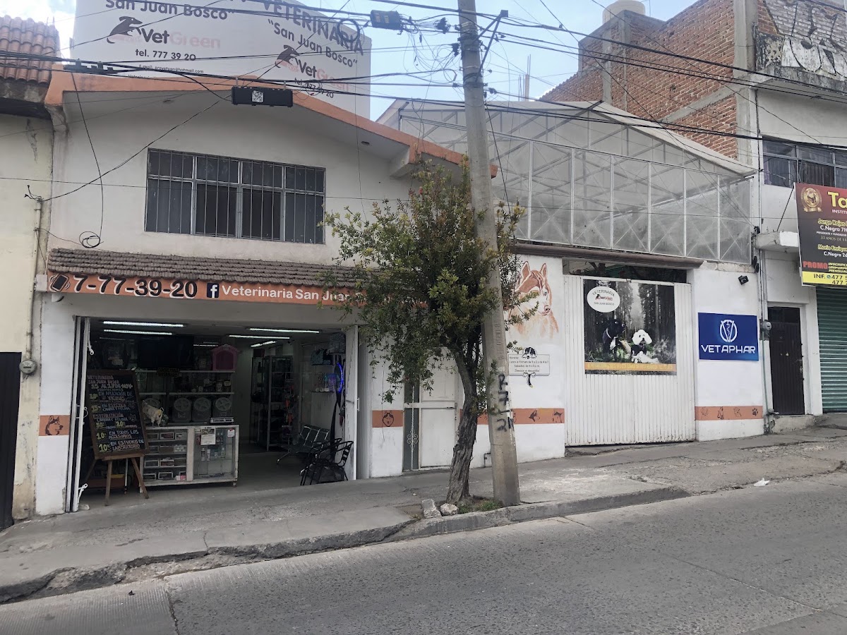 Veterinaria San Juan Bosco (EcoVetGreen), Otras zonas