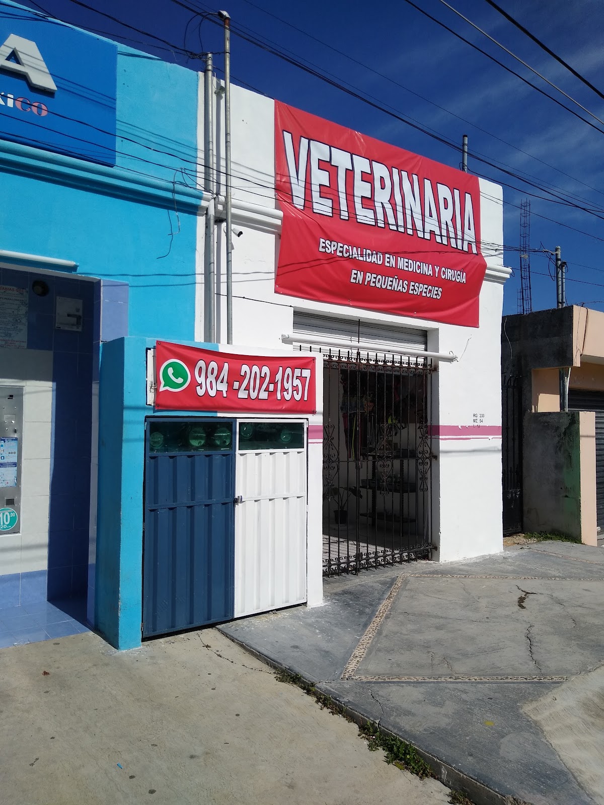 Hospital Veterinario Cancun, Otras zonas