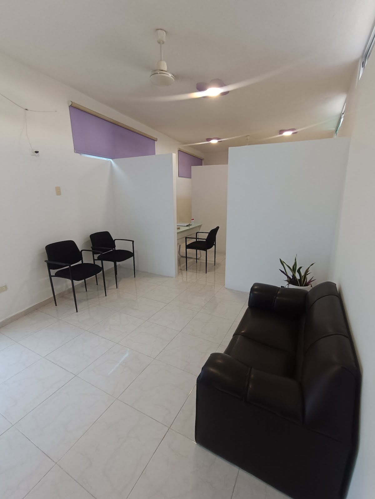Clínica Dental Palmerales, Altabrisa
