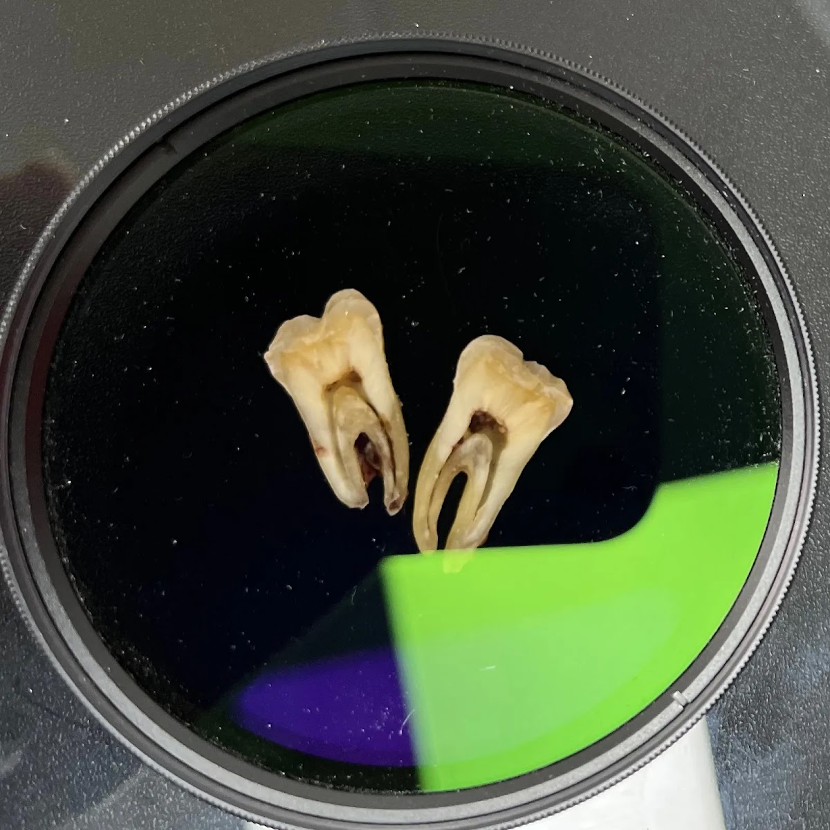 Studio Dental Aeleka, Sur