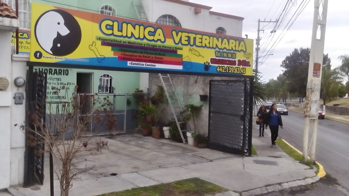 Clínica Veterinaria Pequeñas Servicio Especializado, Otras zonas