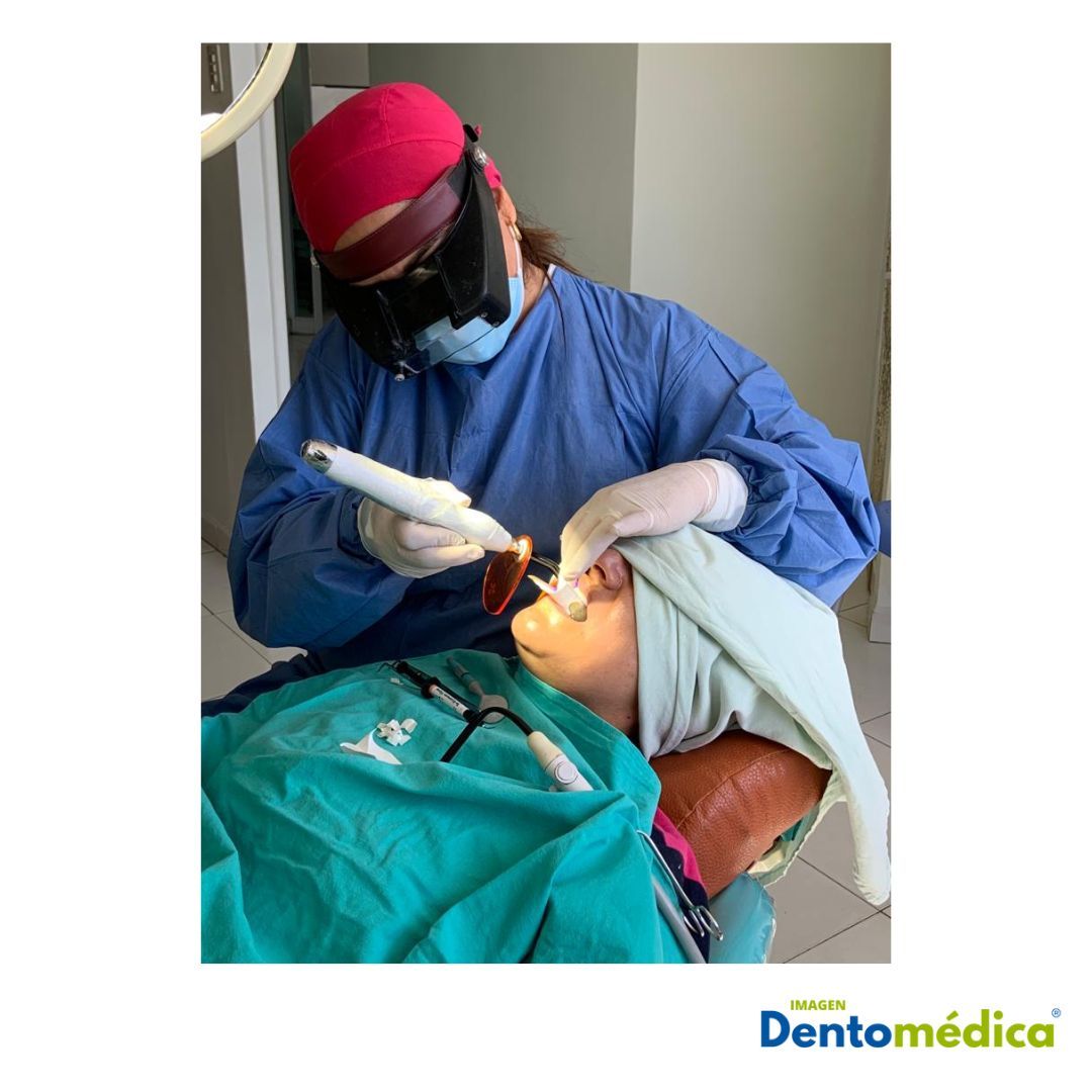 Dentomedica, LEON