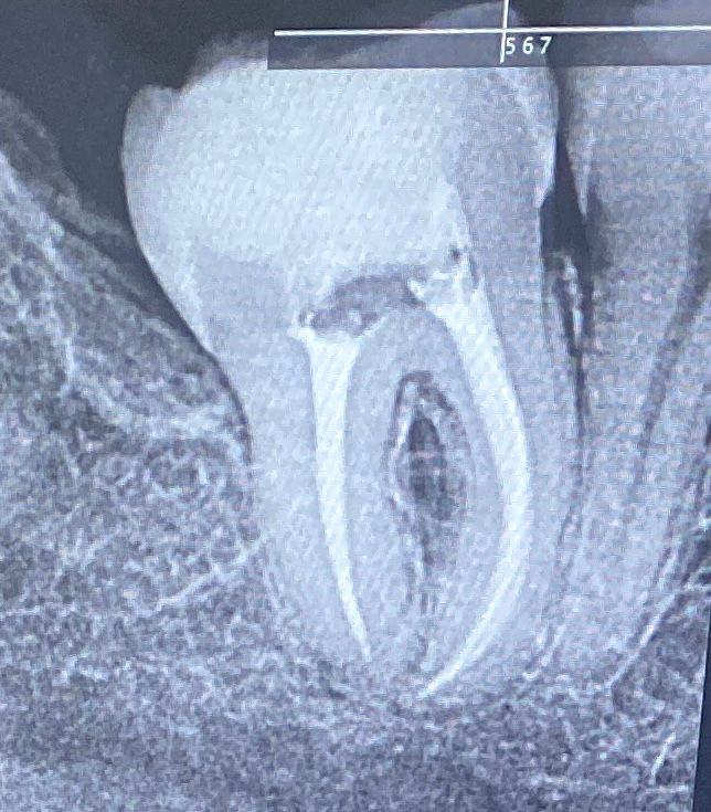 Dental Studio | MEEI, PUEBLA