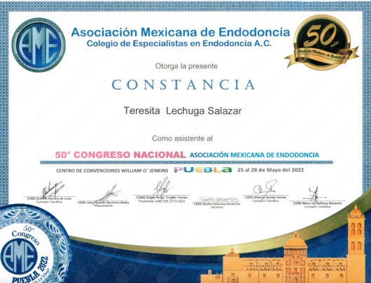 Dental Studio | MEEI — foto 3